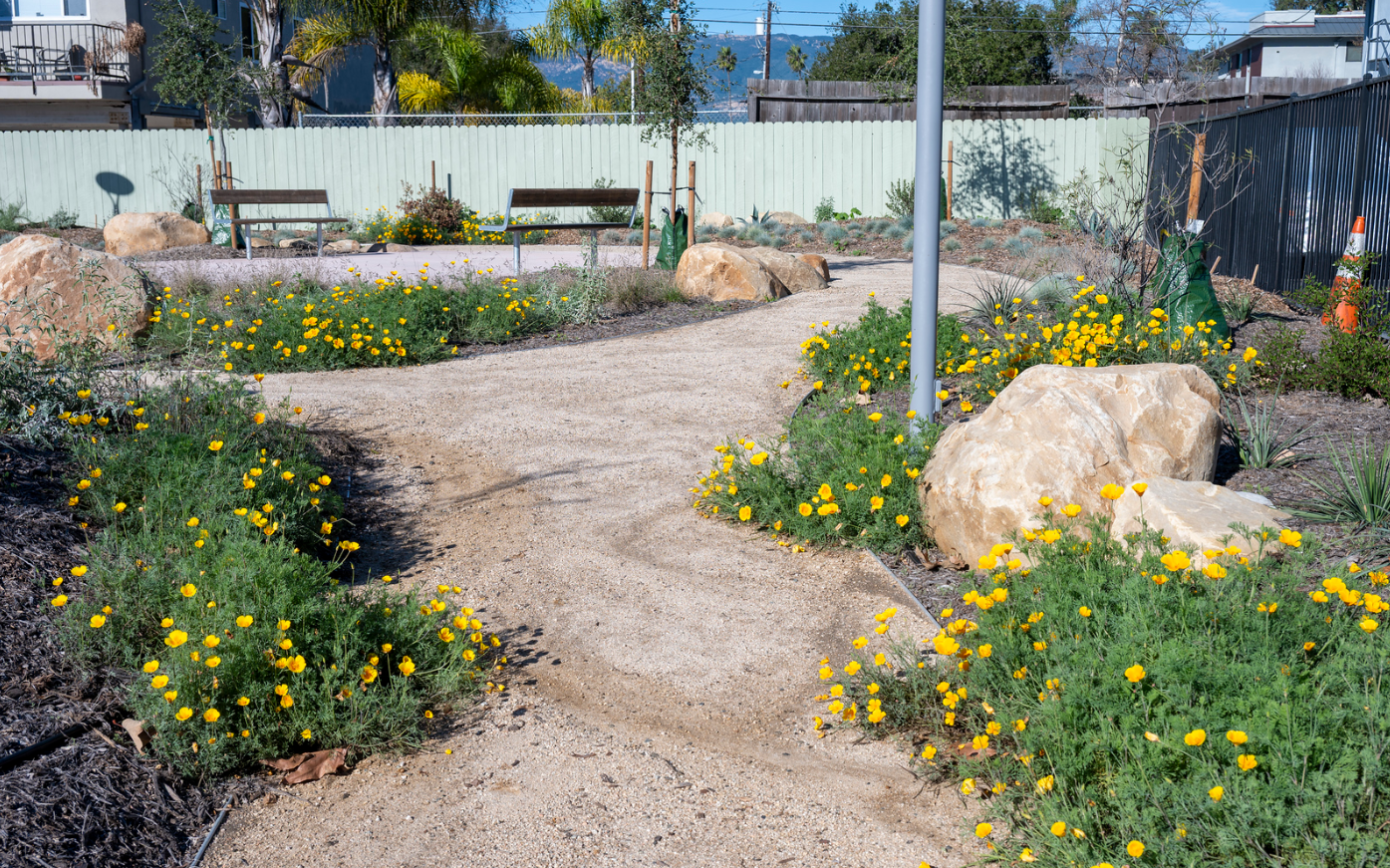 Screenshot 2026-03-20 124618