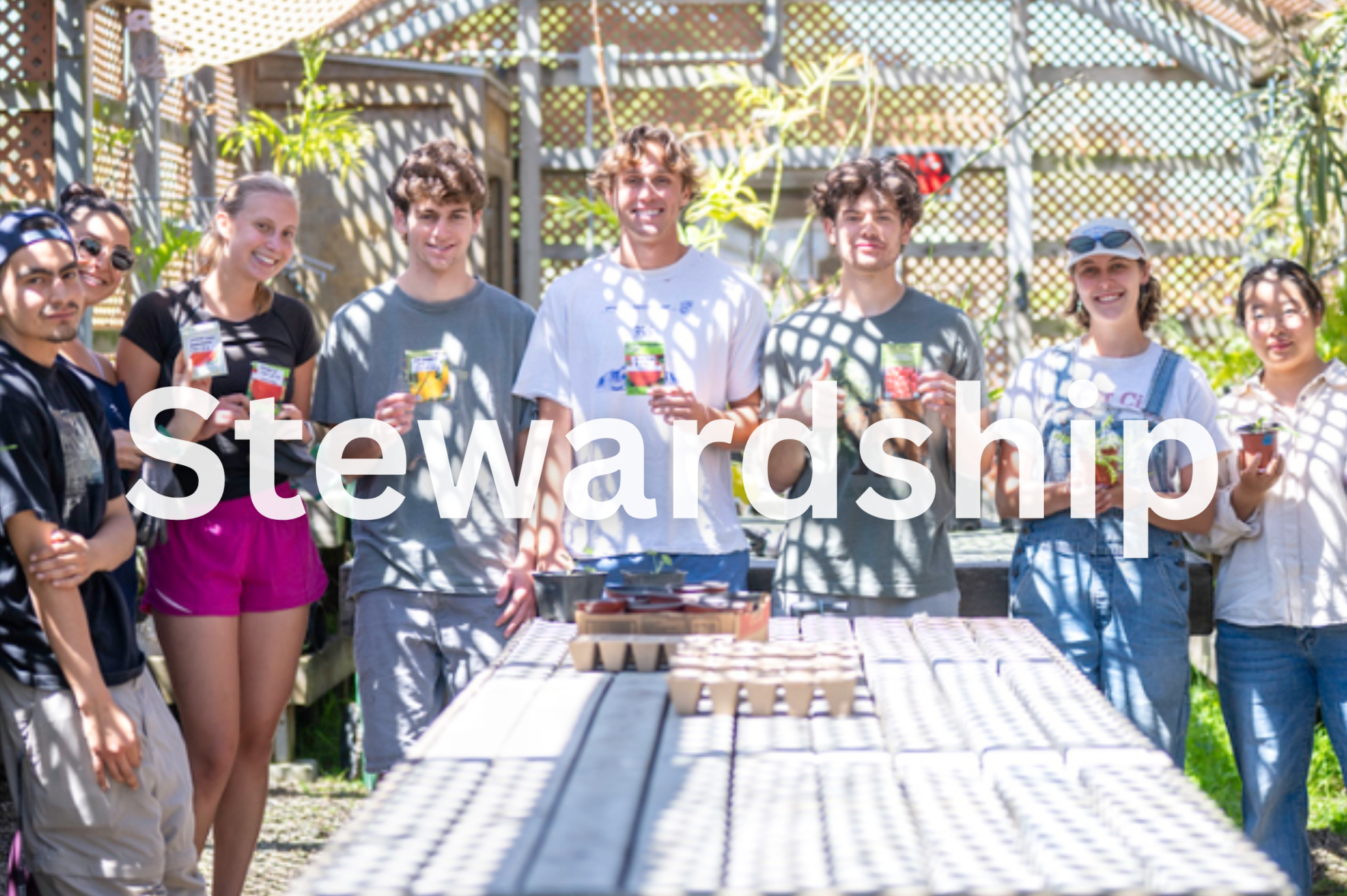 Untitled (2000 x 1331 px) (2560 x 1612 px)